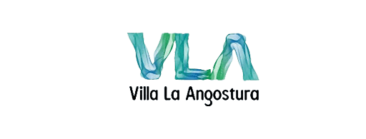 logoN _ VLA